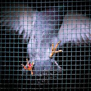 日韩AV中文无码综合另类
